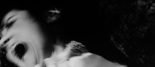 membrane — David Lynch / Elephant Man membrane — David Lynch / Elephant Man