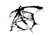 encreverger2