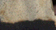 2006
